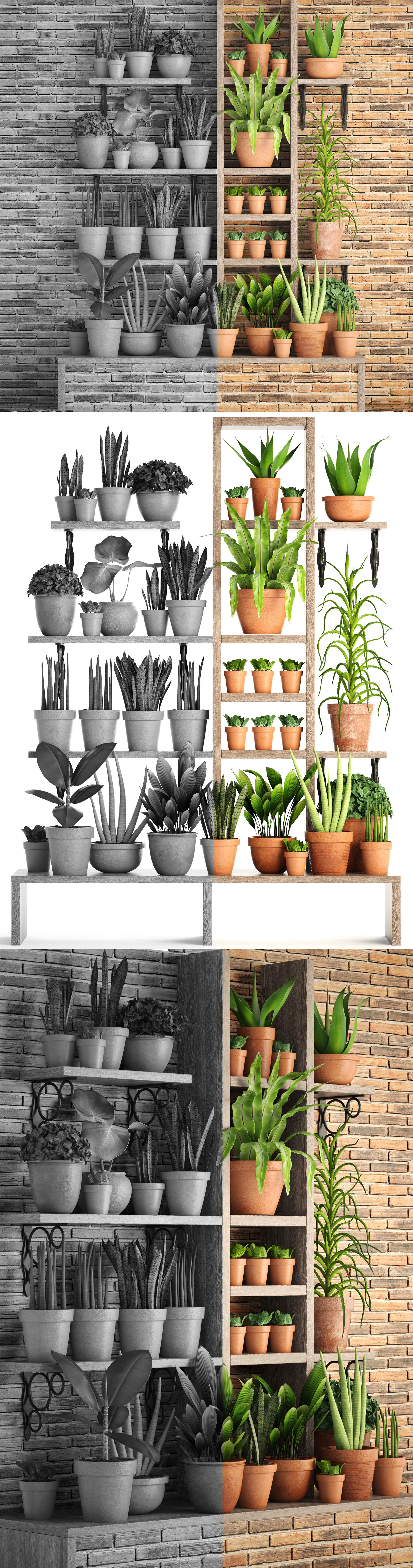 collection of plants in clay pots PART 2 3D model_5