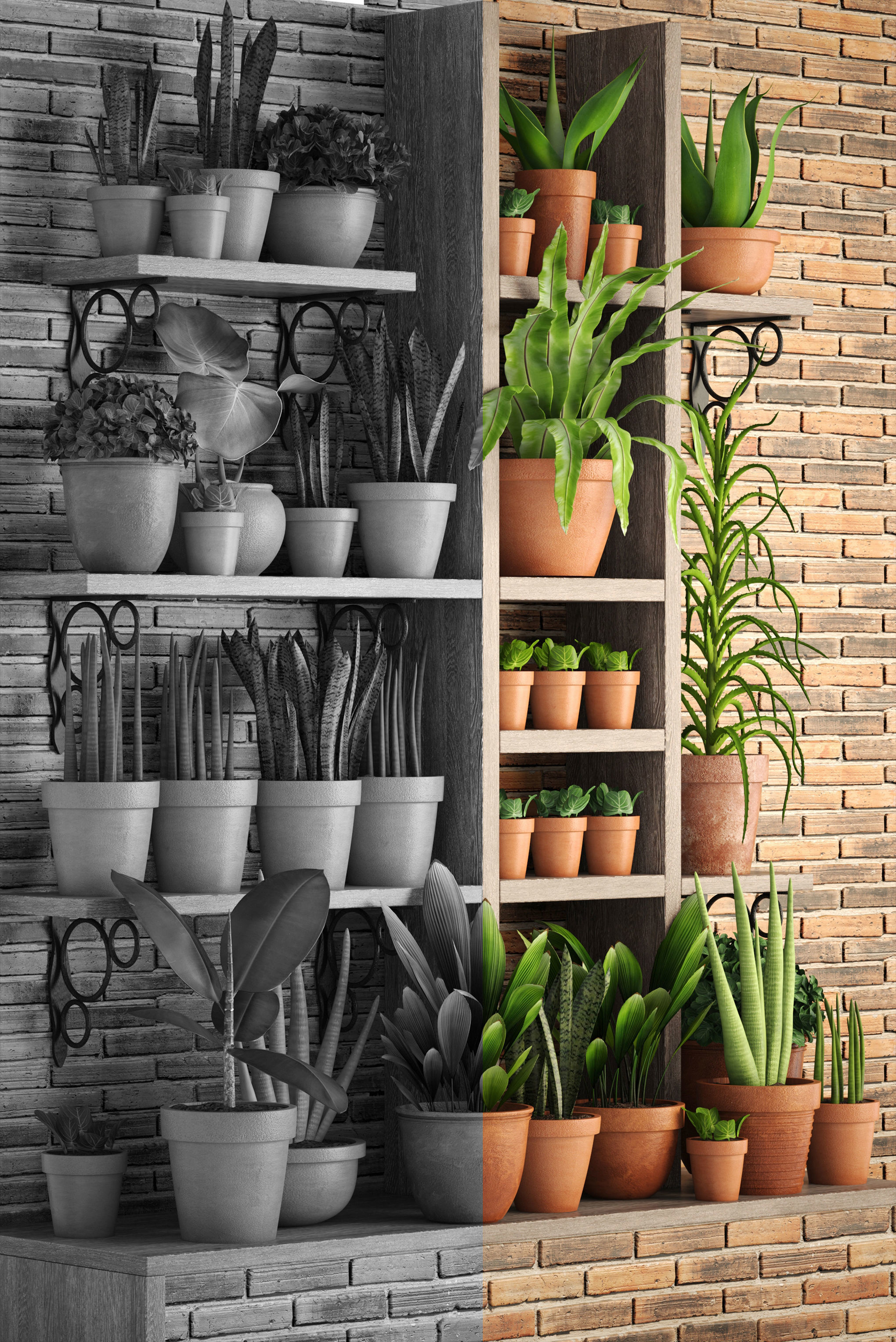 collection of plants in clay pots PART 2 3D model_4