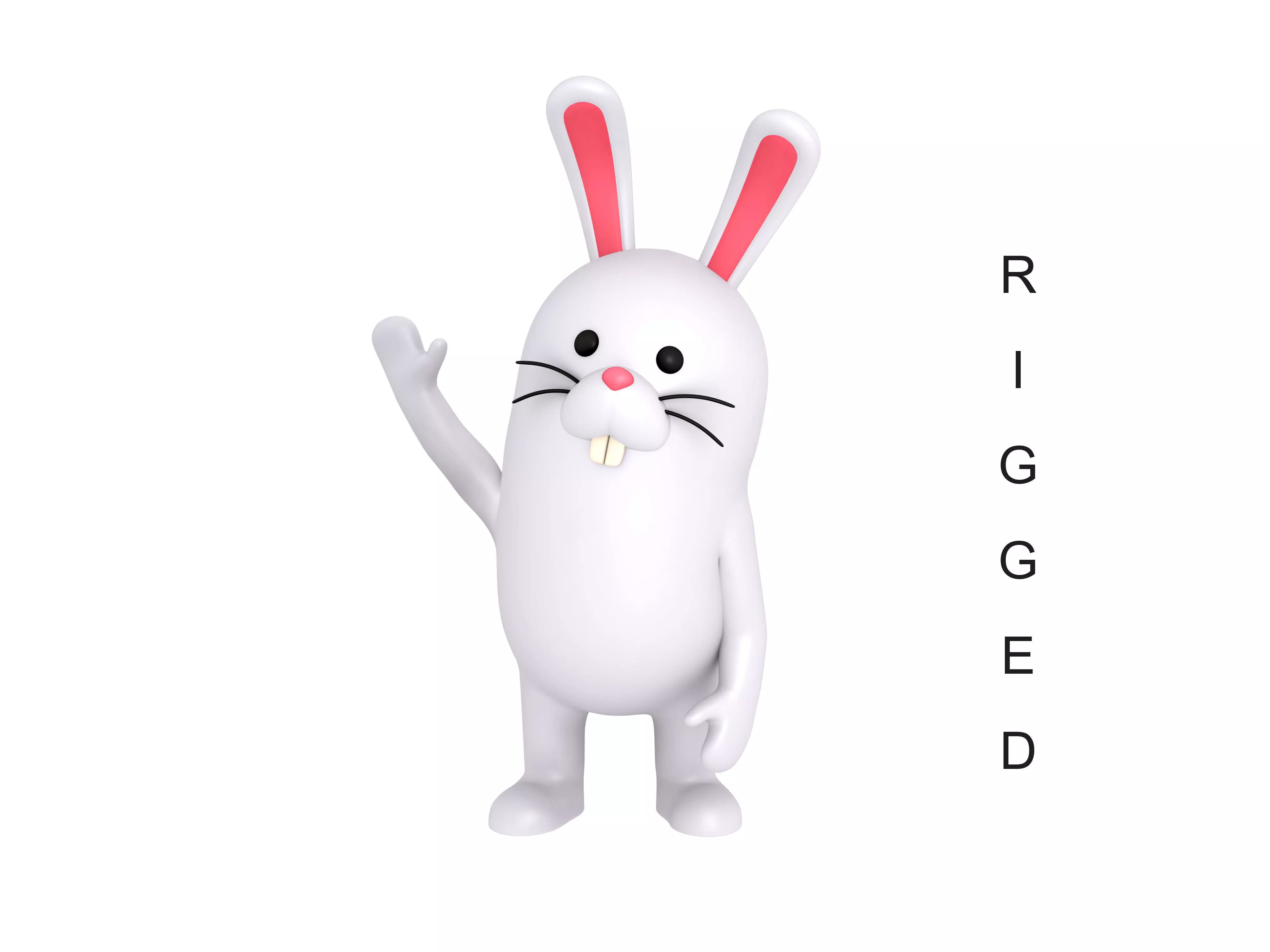 Rigged Rabbit Character 3D model_0
