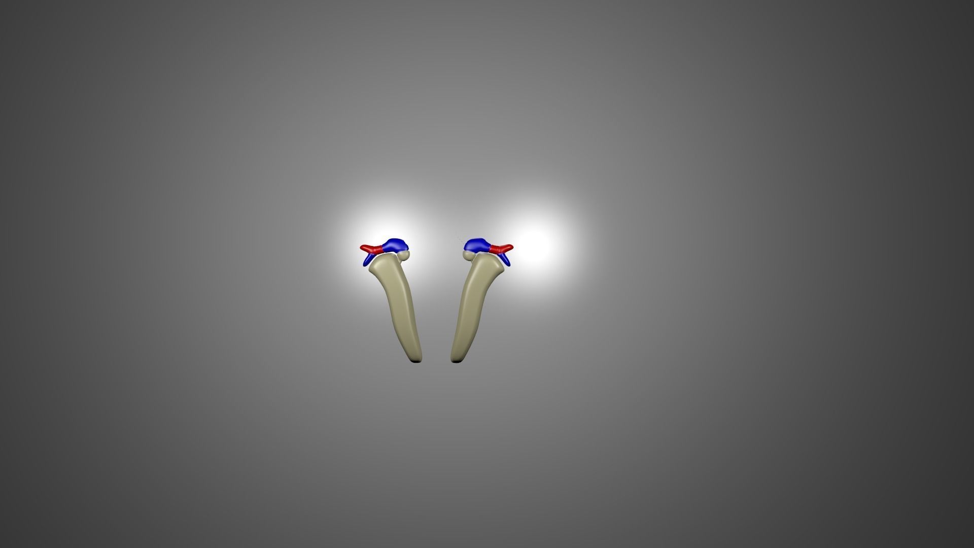 Human Kidneys 3D model_2