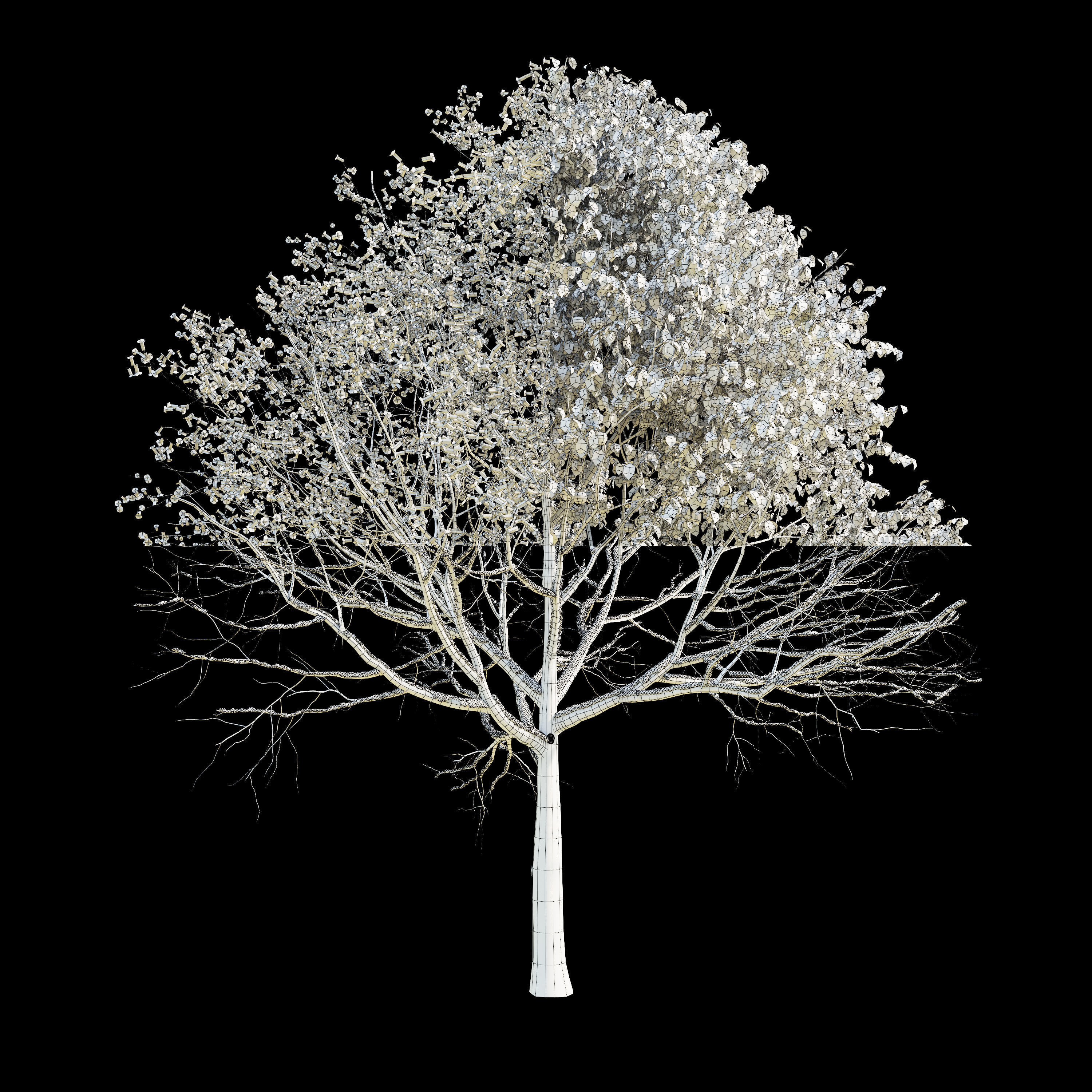 Apple Tree 5 Seasons 3D model_6