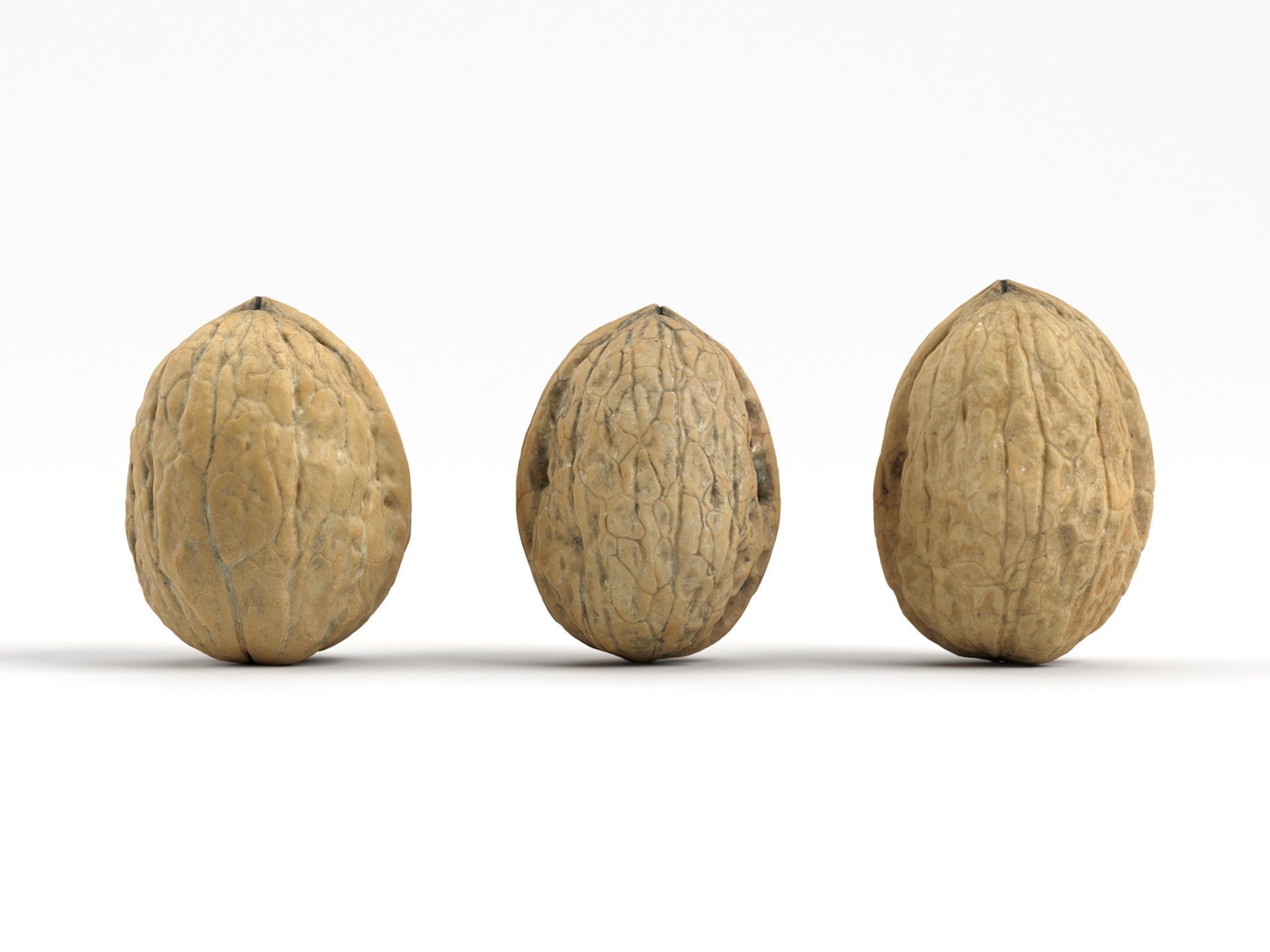 Three Different Photorealistic Walnut 3D Scans 3D model_4