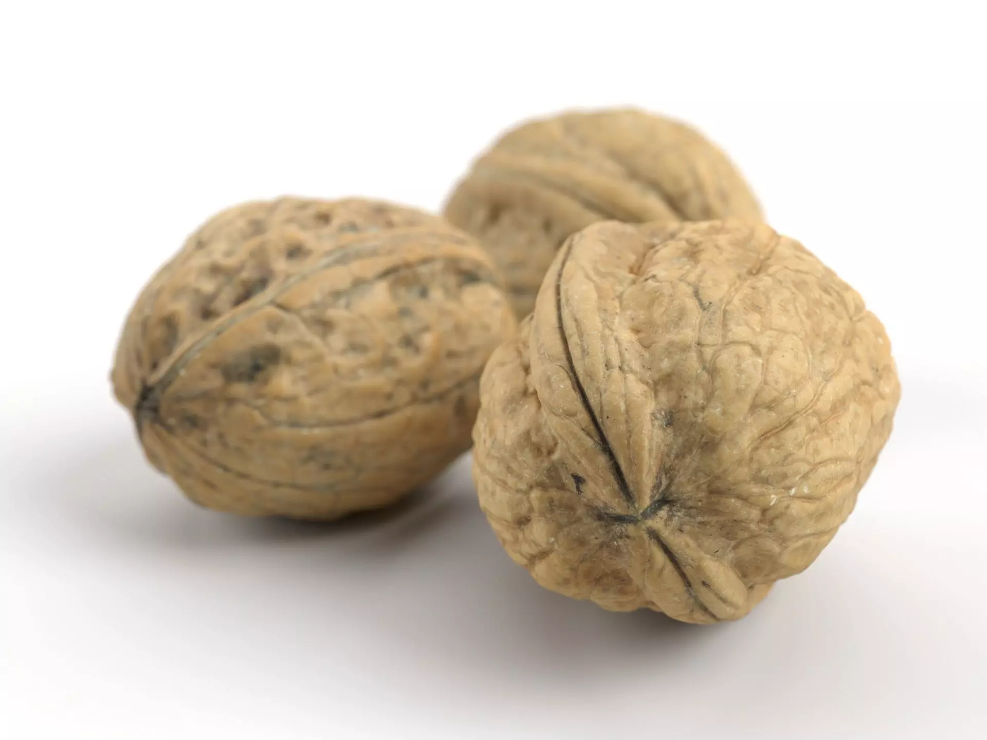 Three Different Photorealistic Walnut 3D Scans 3D model_0