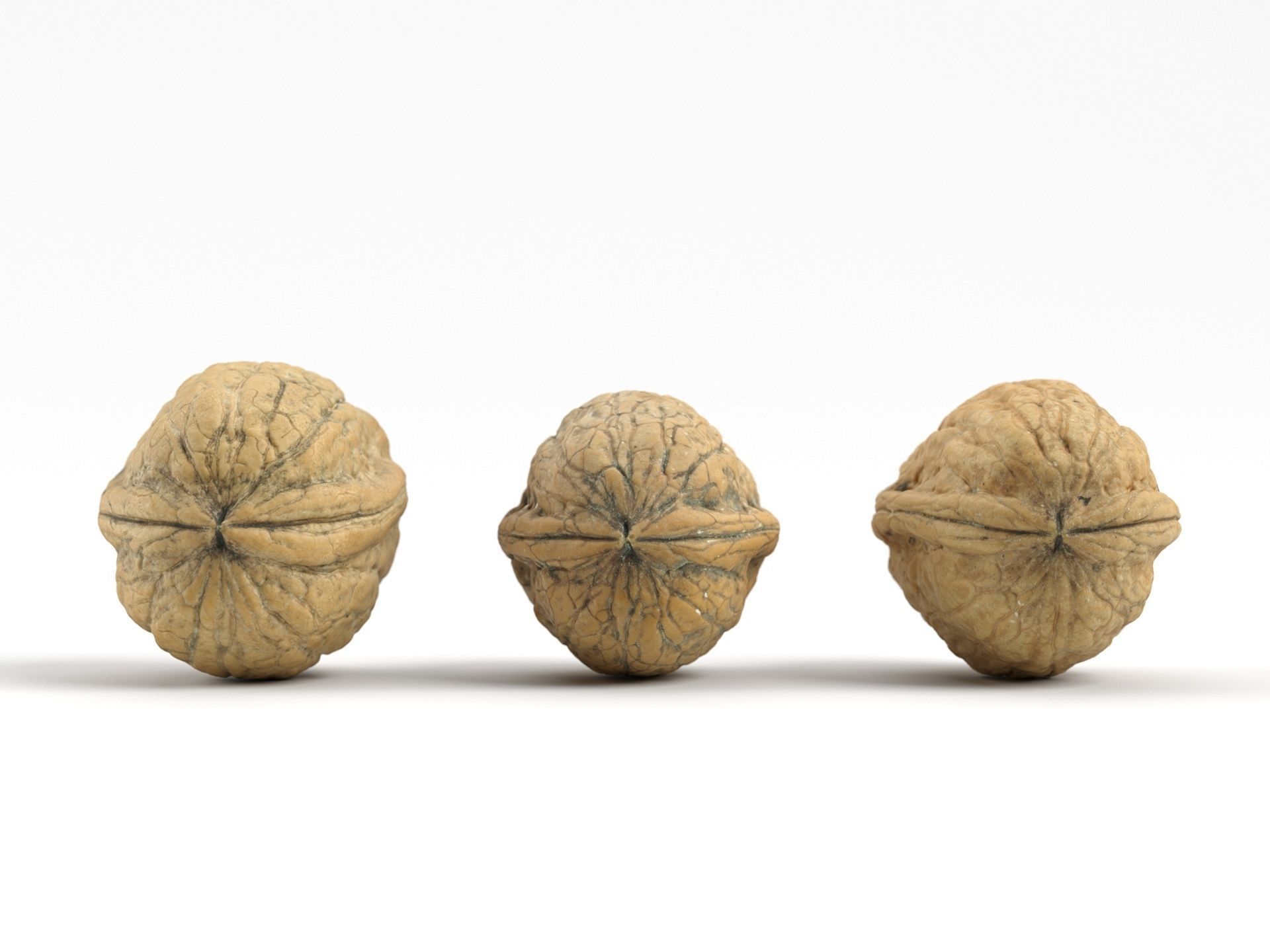 Three Different Photorealistic Walnut 3D Scans 3D model_7