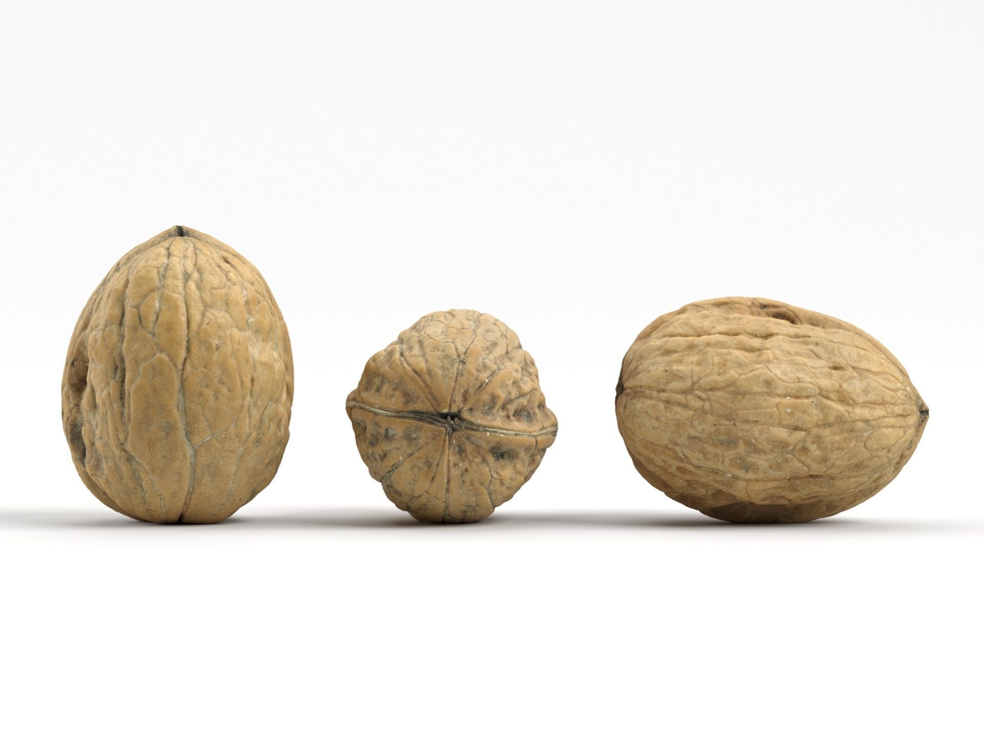 Three Different Photorealistic Walnut 3D Scans 3D model_1