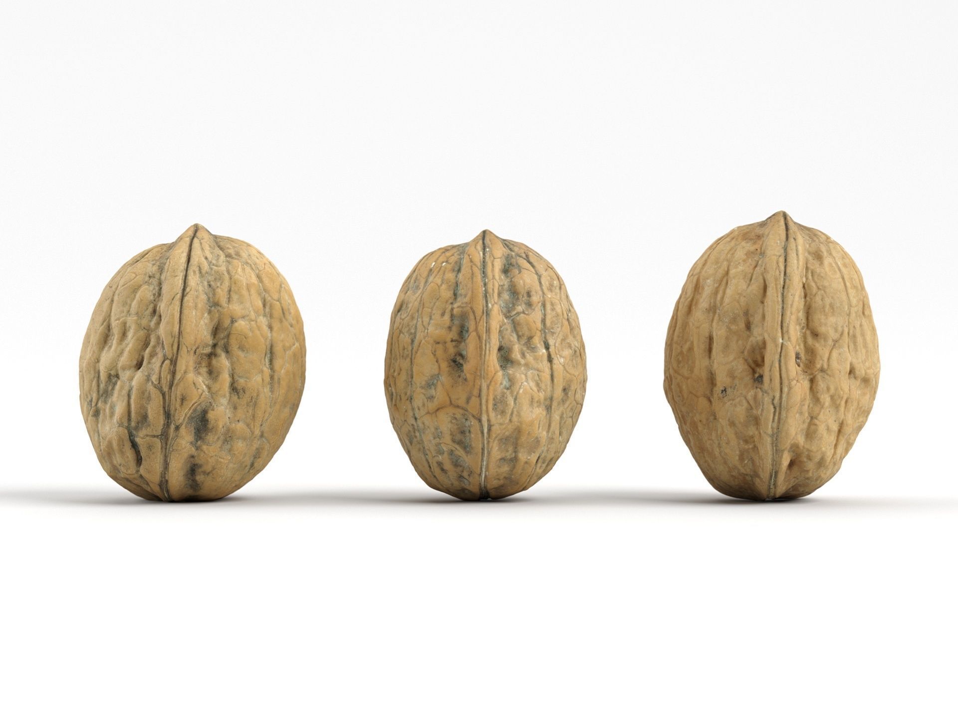 Three Different Photorealistic Walnut 3D Scans 3D model_5