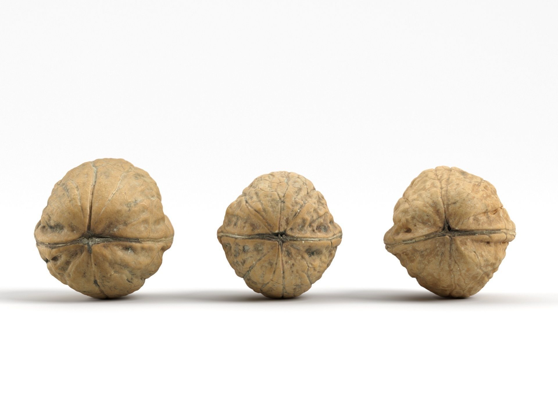 Three Different Photorealistic Walnut 3D Scans 3D model_6