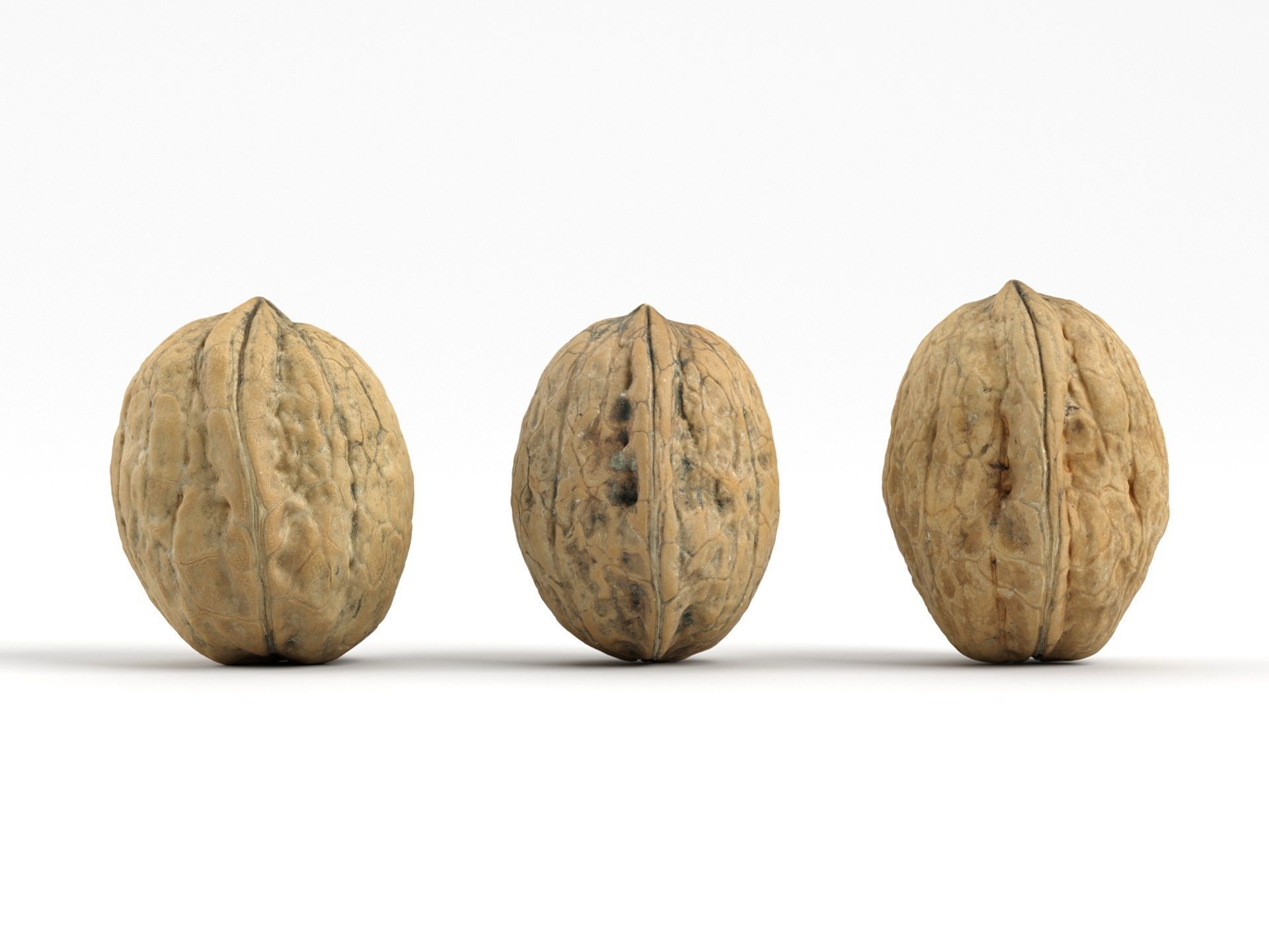 Three Different Photorealistic Walnut 3D Scans 3D model_3