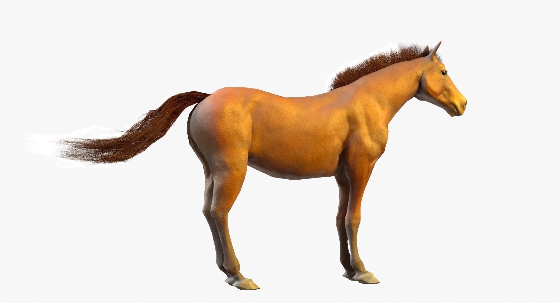 Horse Textured Low-poly 3D model_9