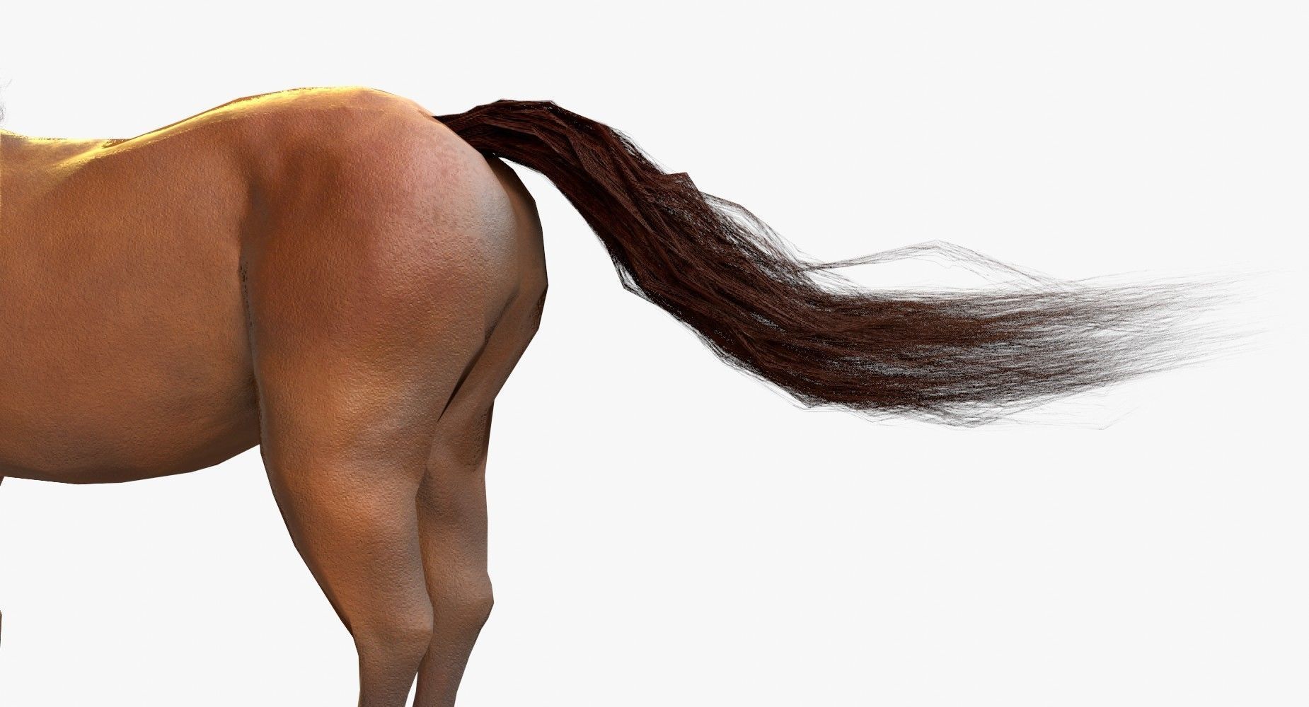 Horse Textured Low-poly 3D model_8