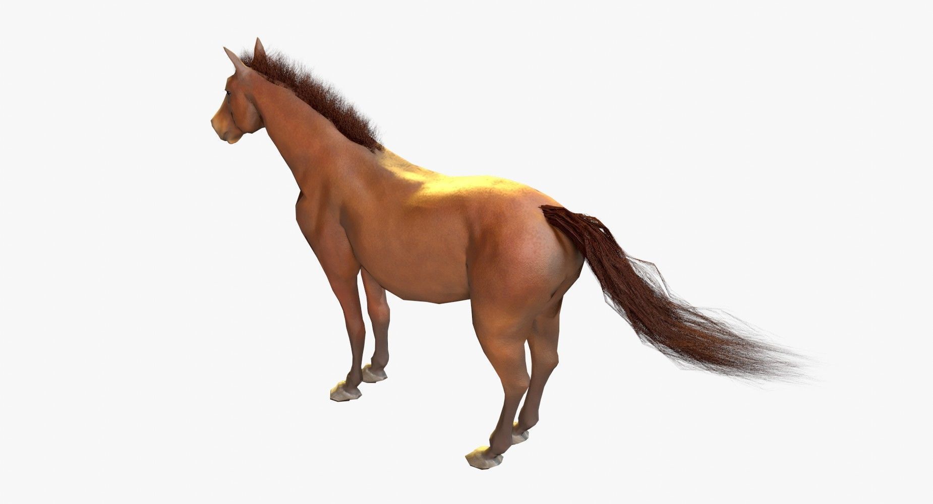 Horse Textured Low-poly 3D model_5