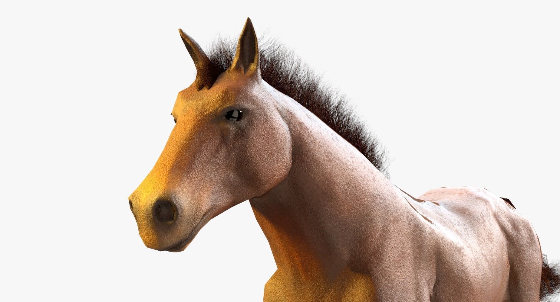 Horse Textured Low-poly 3D model_1