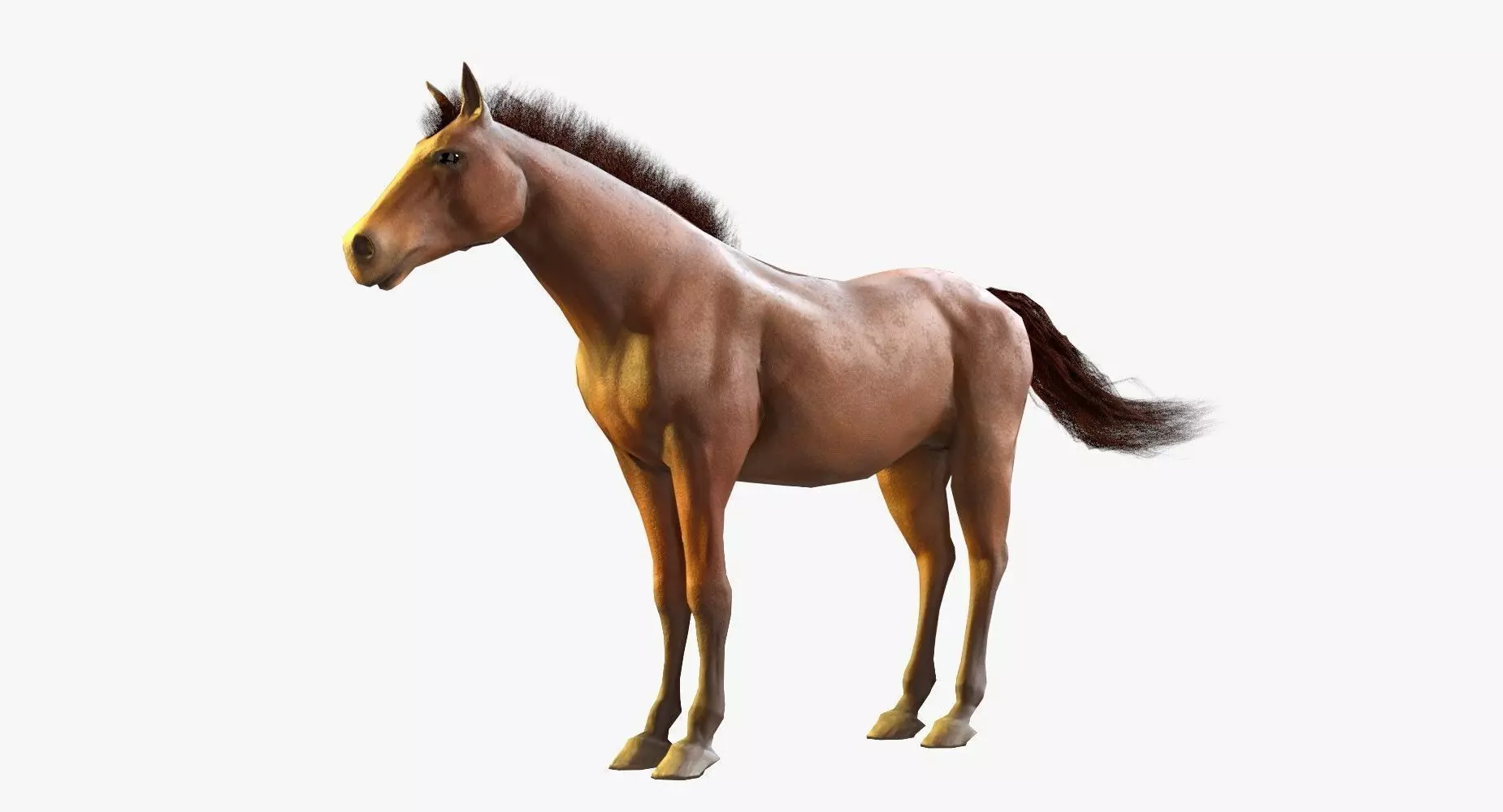Horse Textured Low-poly 3D model_0