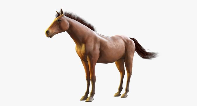 Horse Textured Low-poly 3D model