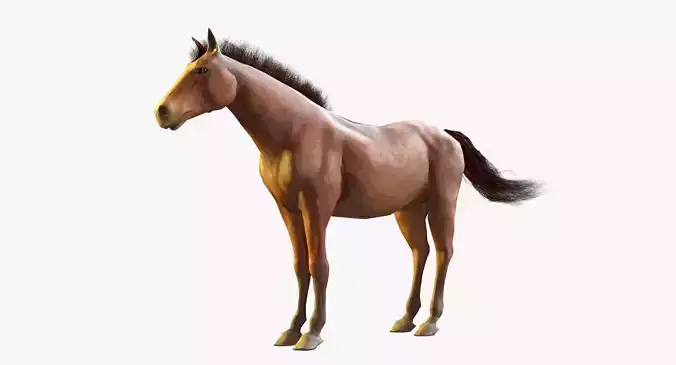 Horse Textured Low-poly 3D model