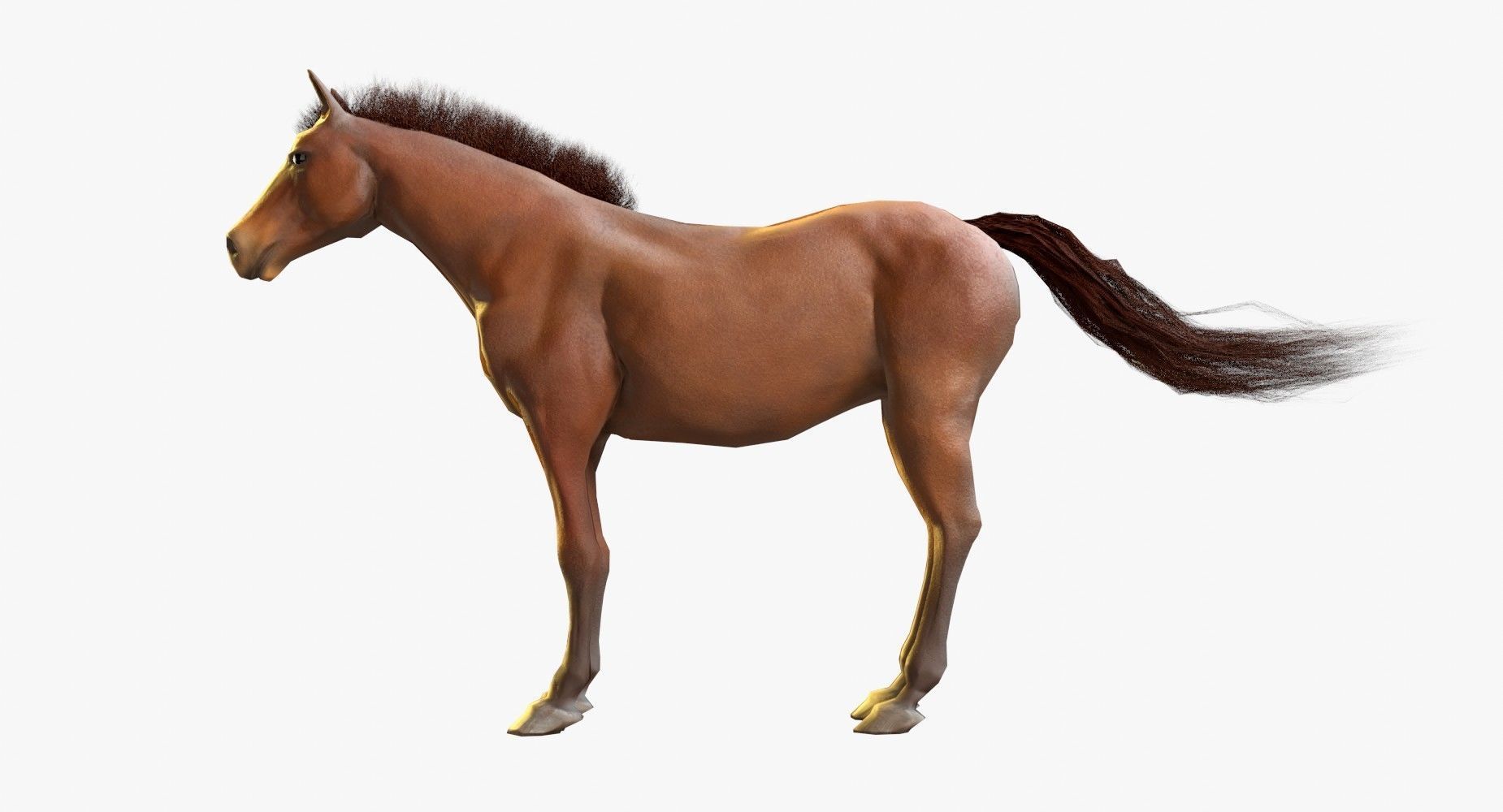Horse Textured Low-poly 3D model_4