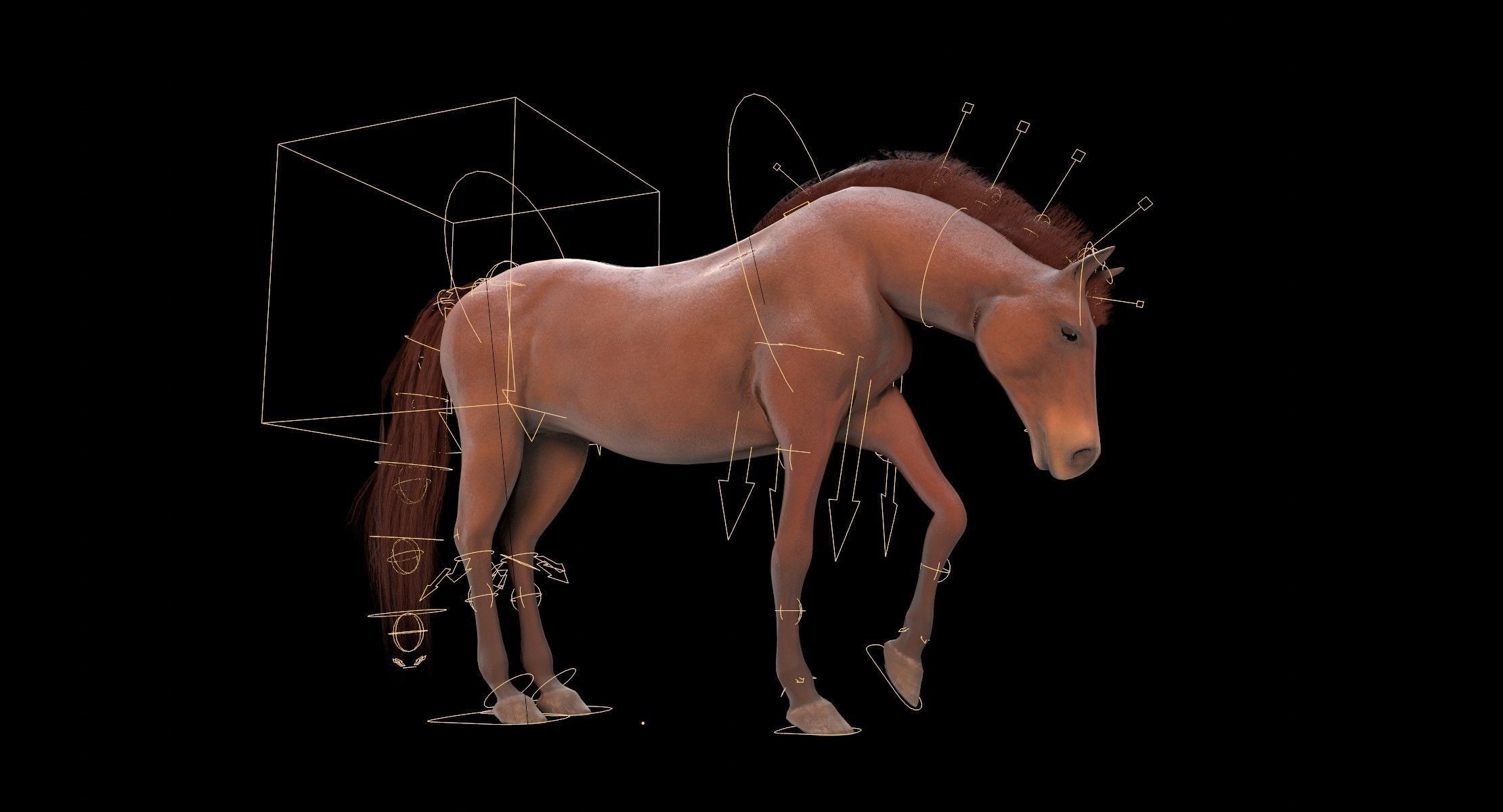 Horse Animated Low-poly 3D model_11