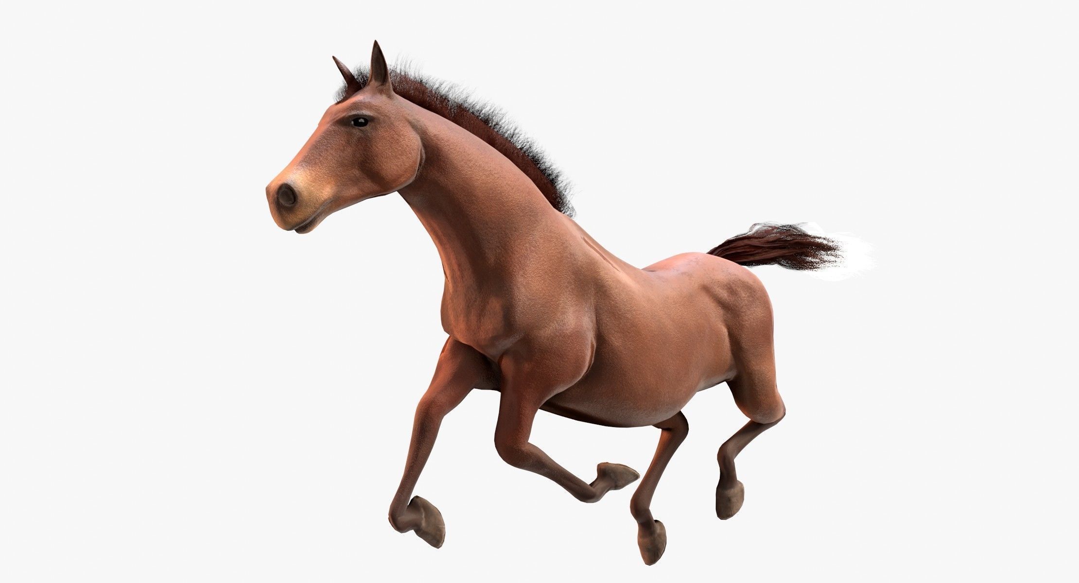 Horse Animated Low-poly 3D model_16