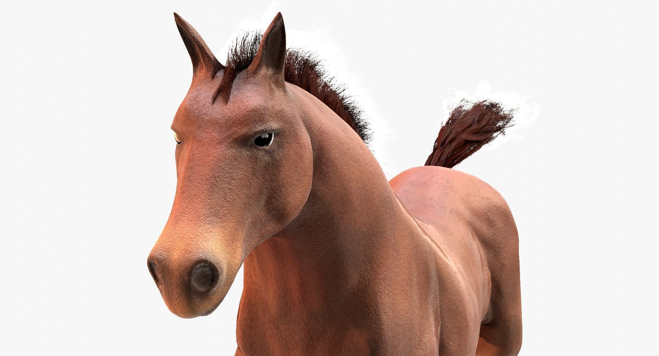 Horse Animated Low-poly 3D model_14