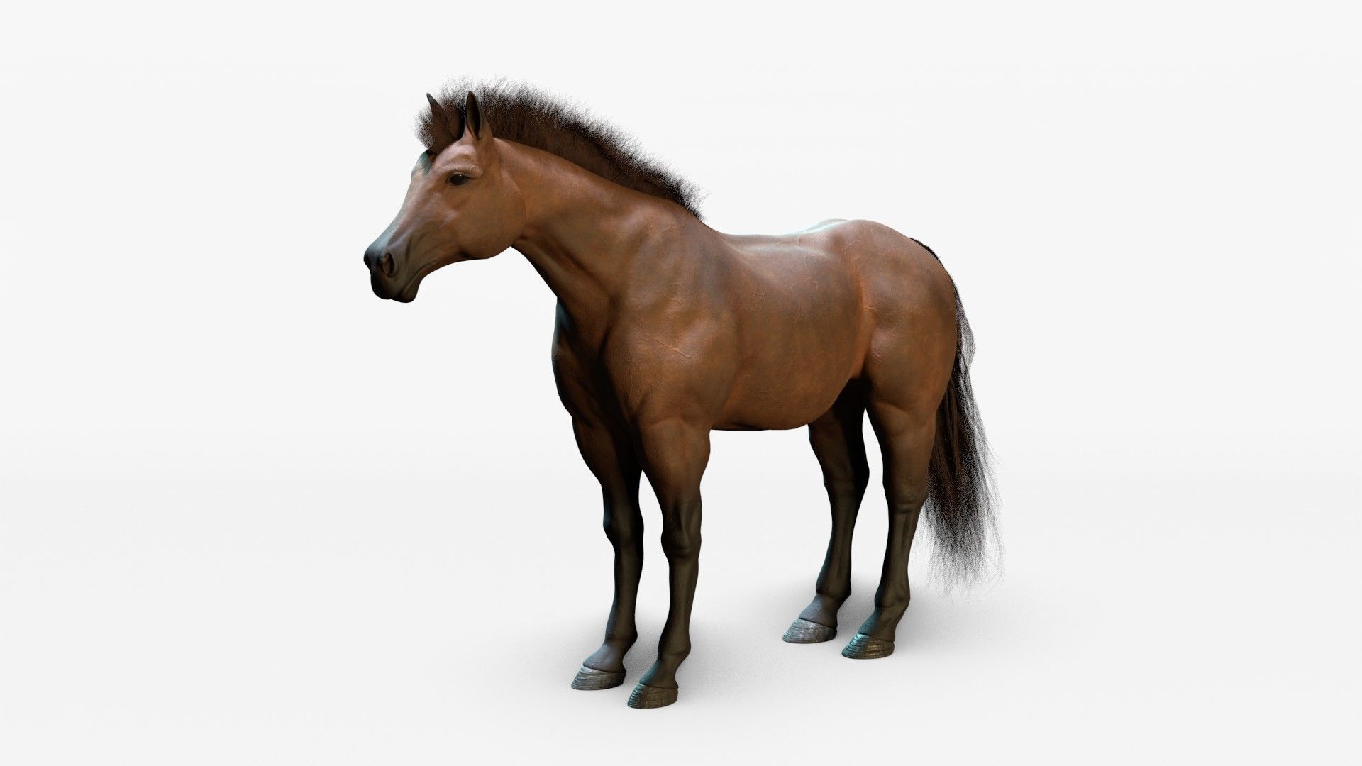 Horse Animated Low-poly 3D model_4