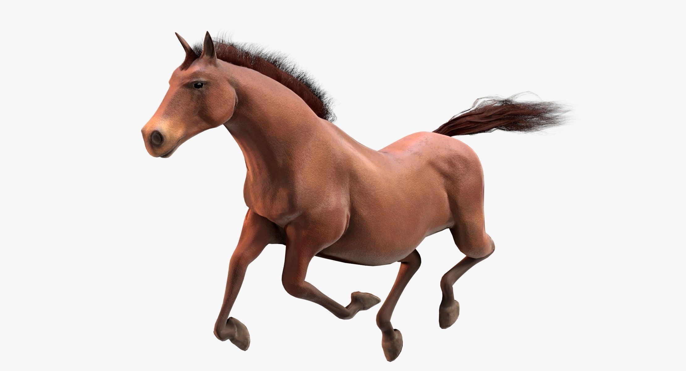 Horse Animated Low-poly 3D model_13
