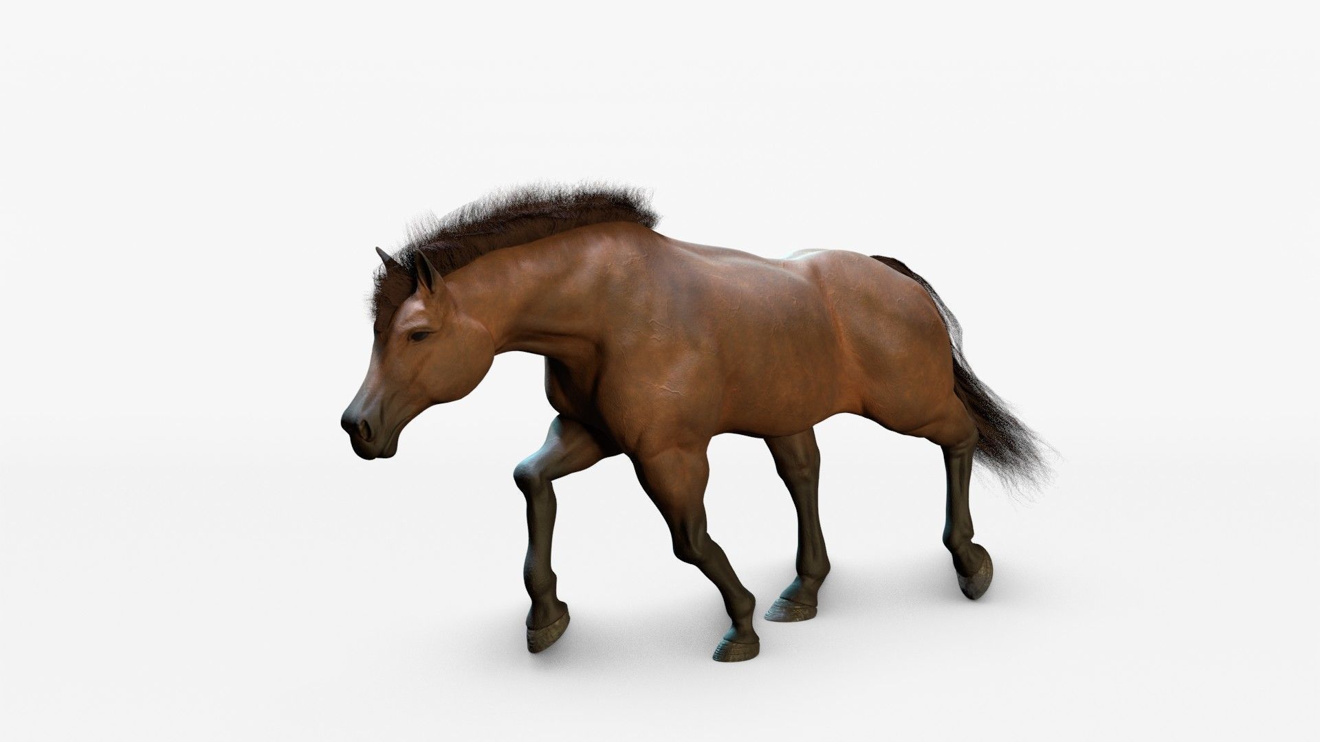 Horse Animated Low-poly 3D model_5