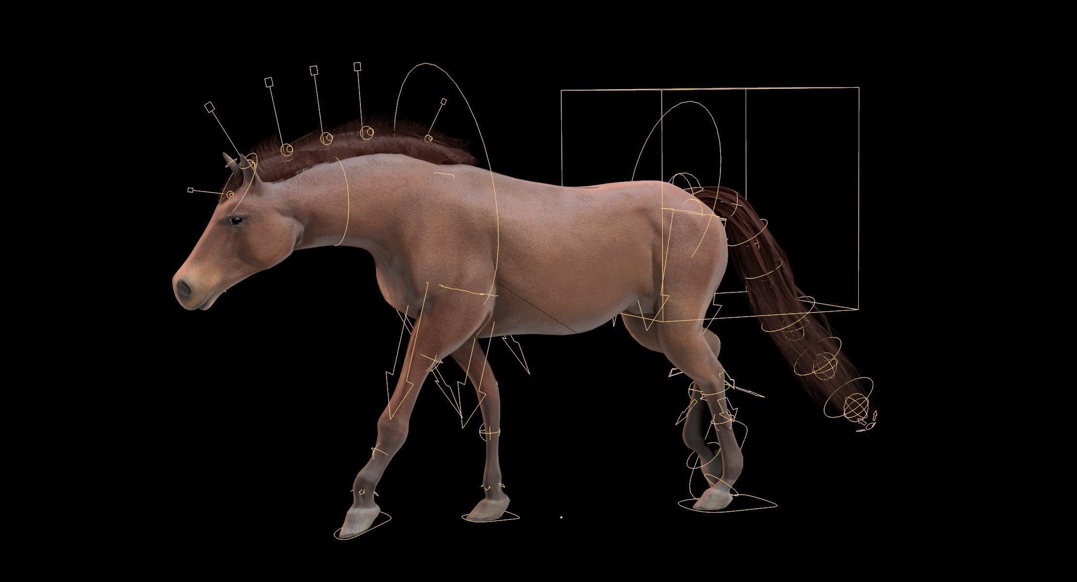 Horse Animated Low-poly 3D model_19