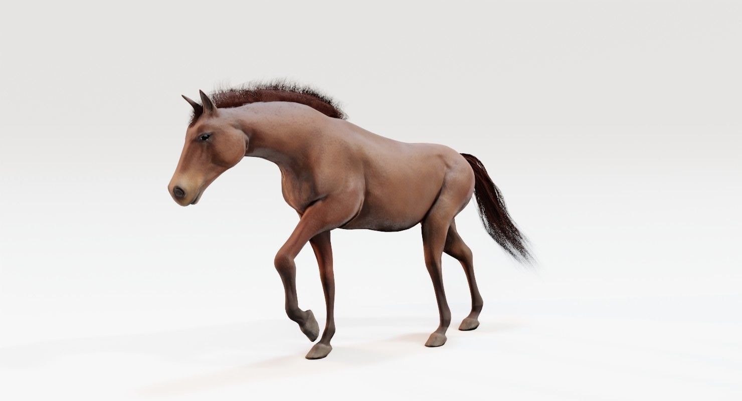 Horse Animated Low-poly 3D model_9