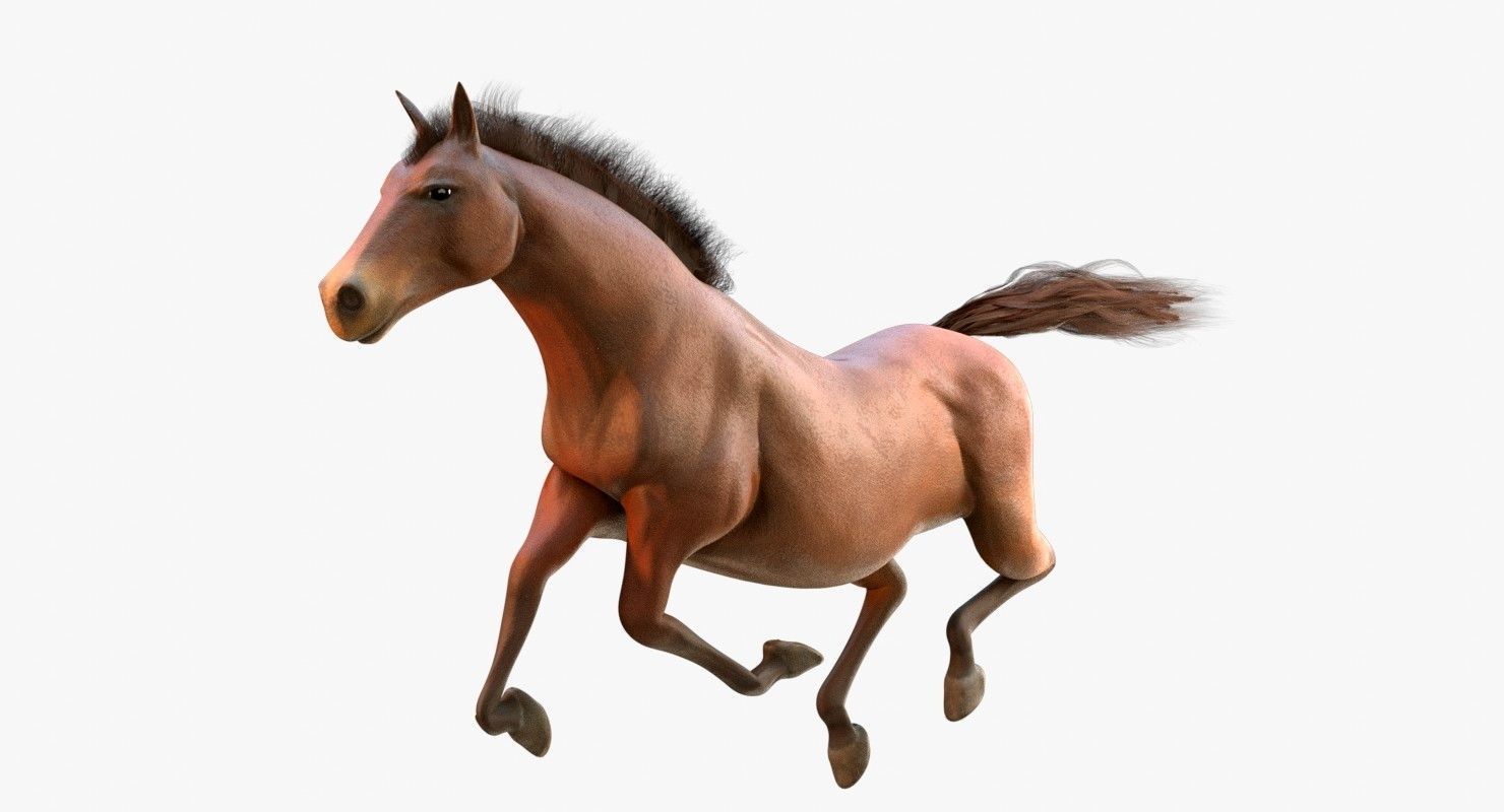 Horse Animated Low-poly 3D model_15