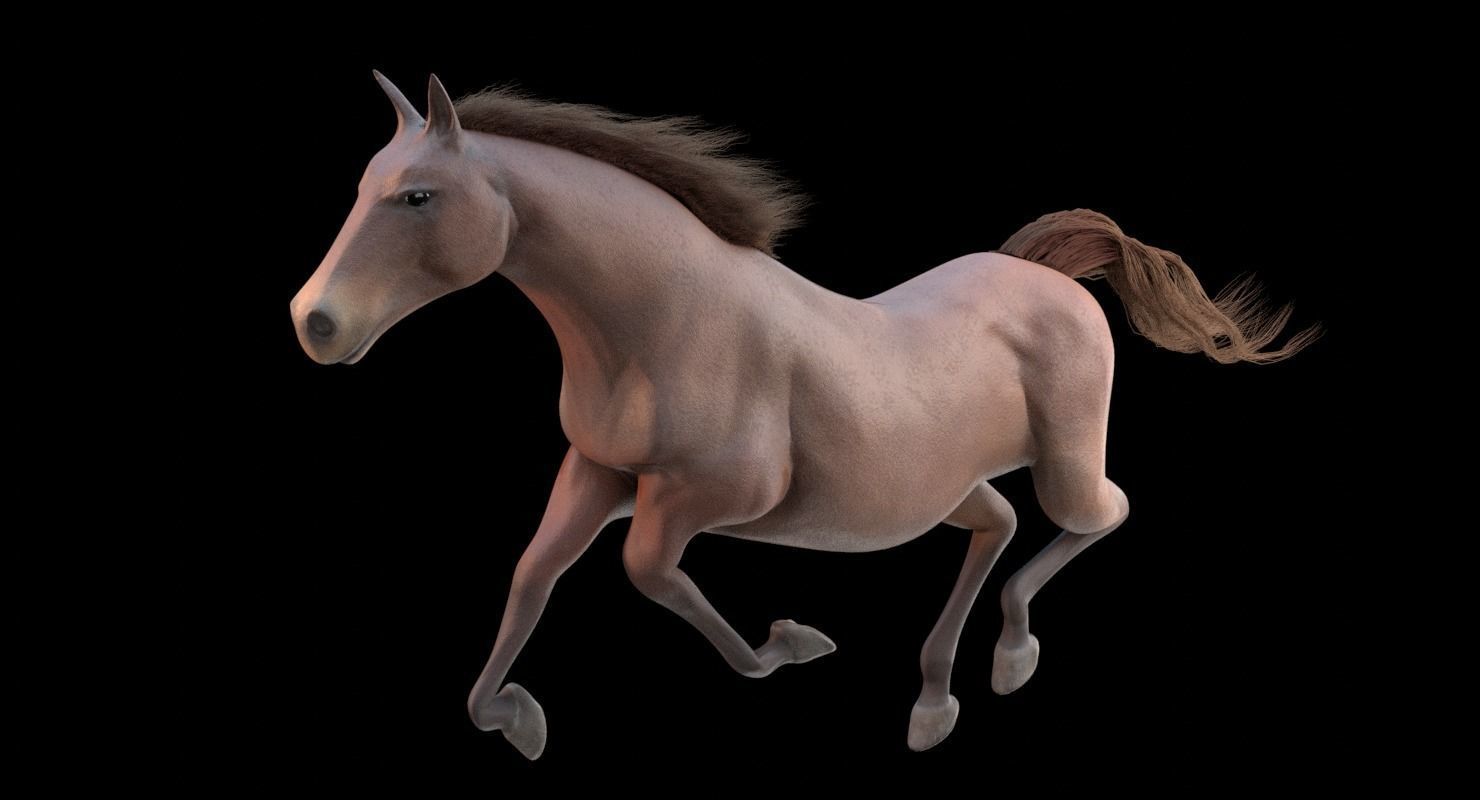Horse Animated Low-poly 3D model_18