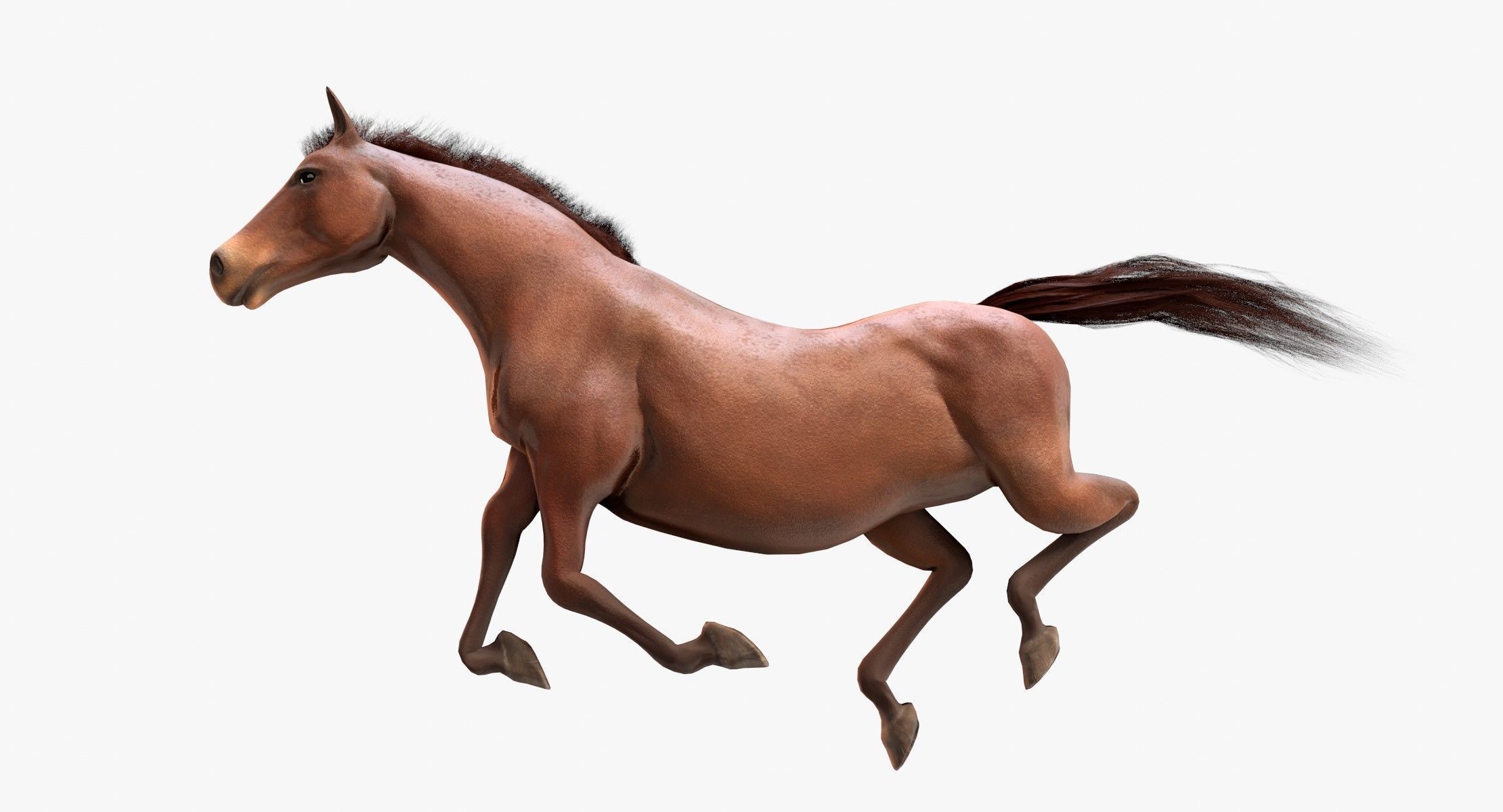 Horse Animated Low-poly 3D model_6
