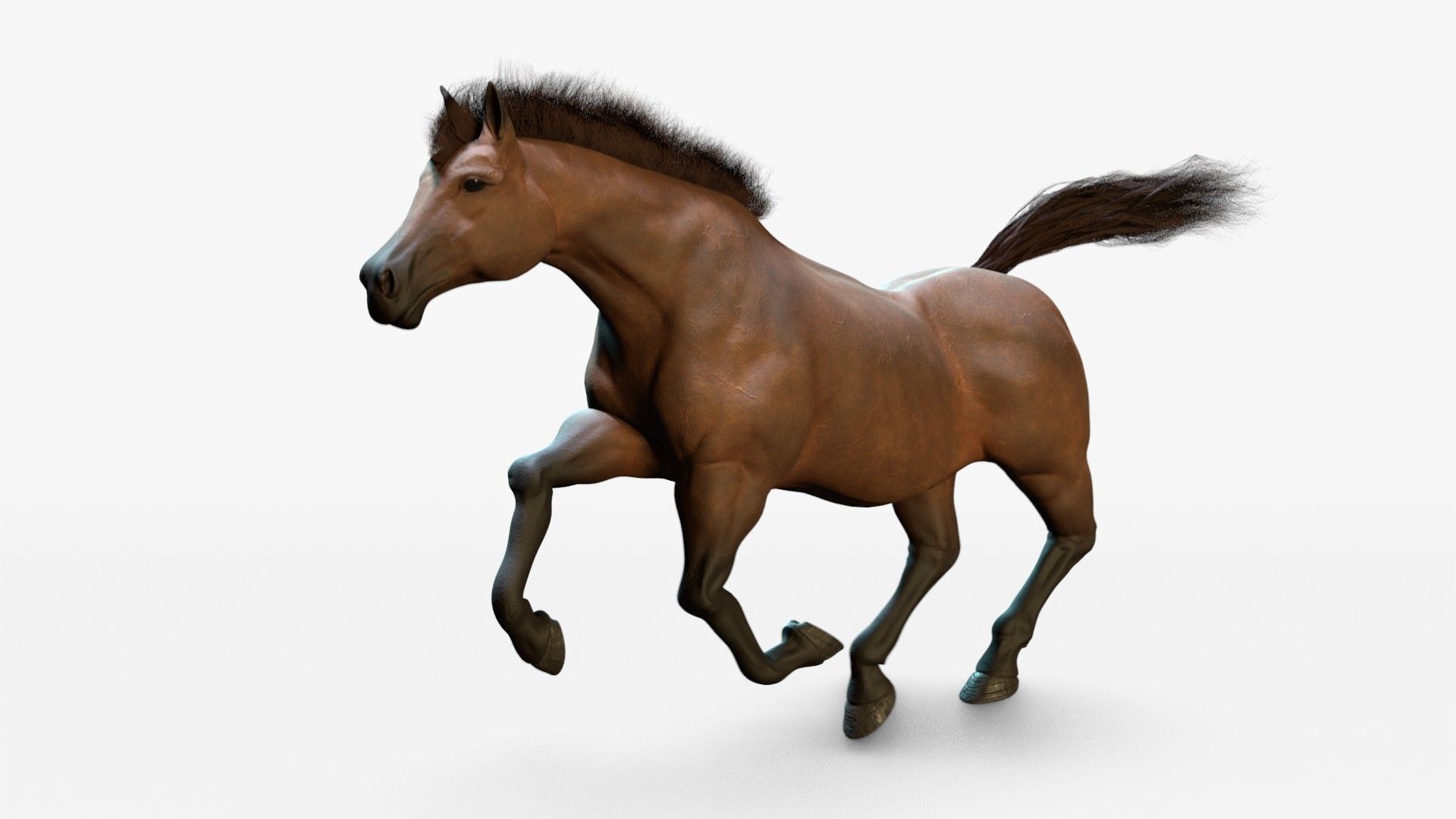 Horse Animated Low-poly 3D model_3