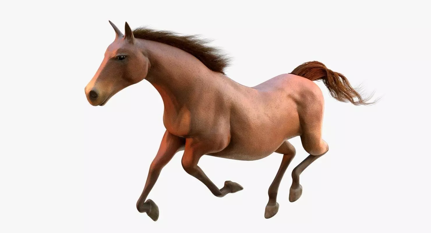 Horse Animated Low-poly 3D model_0