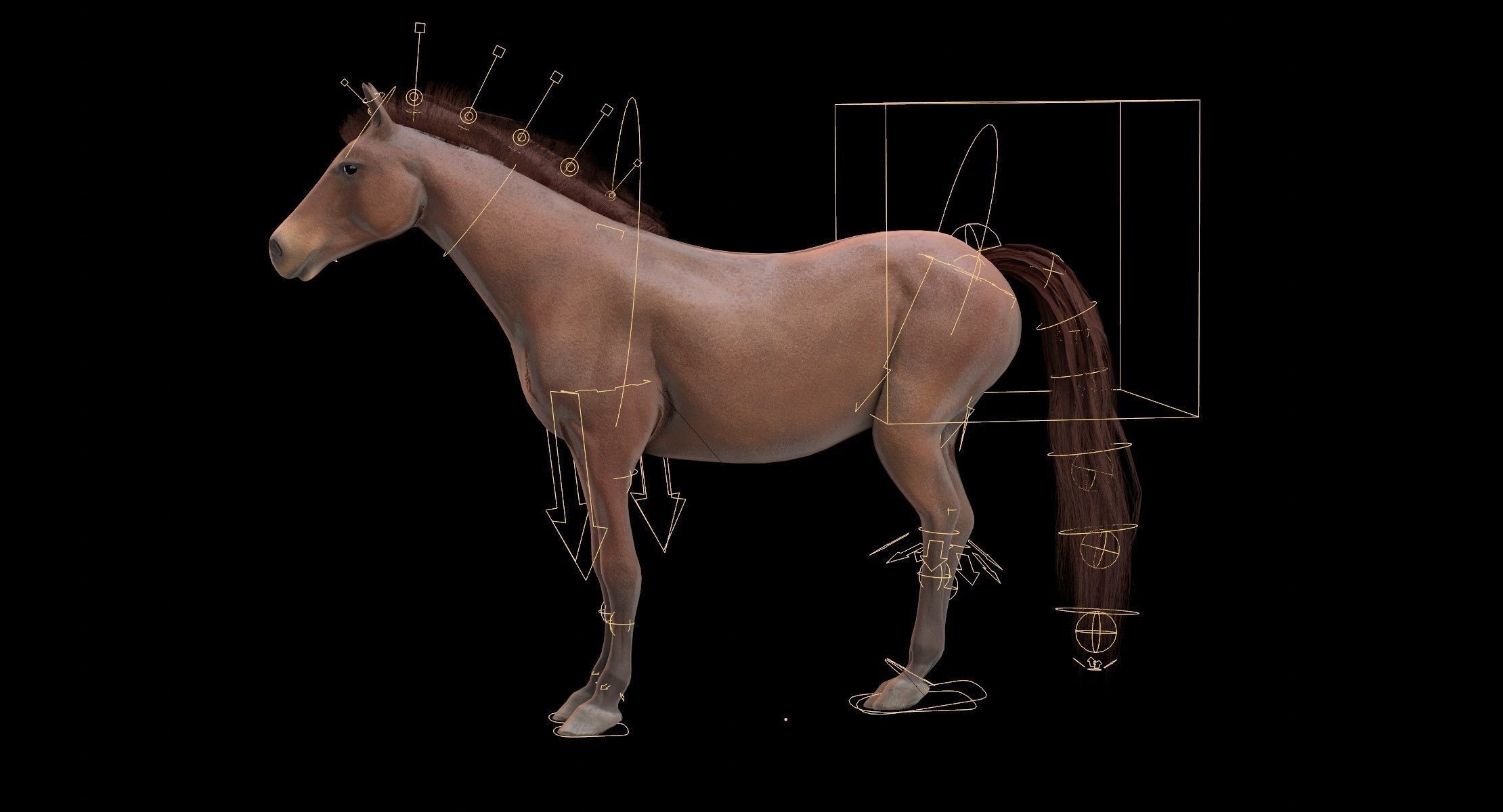 Horse Animated Low-poly 3D model_17