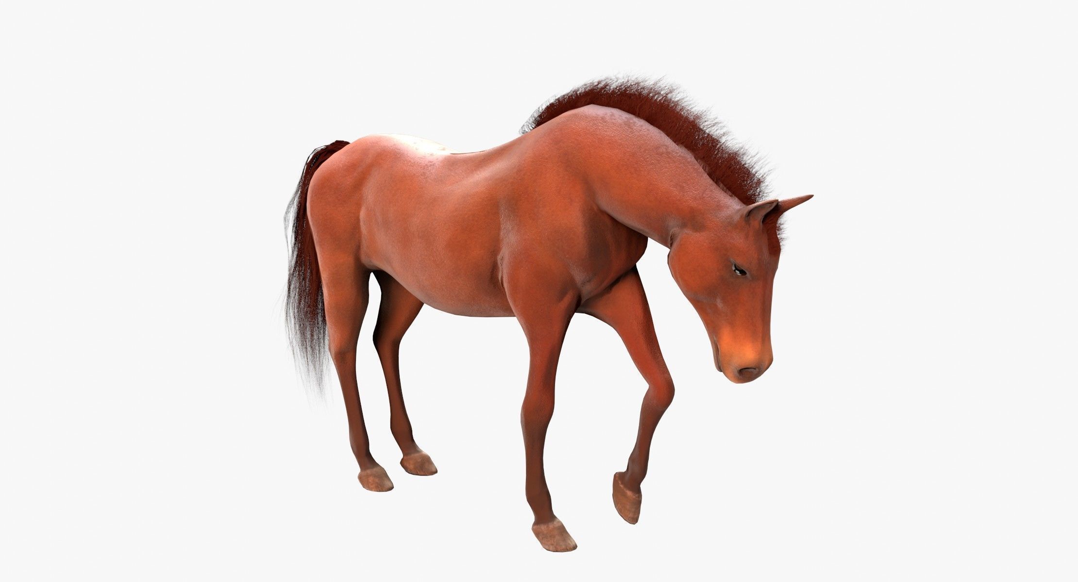 Horse Animated Low-poly 3D model_10
