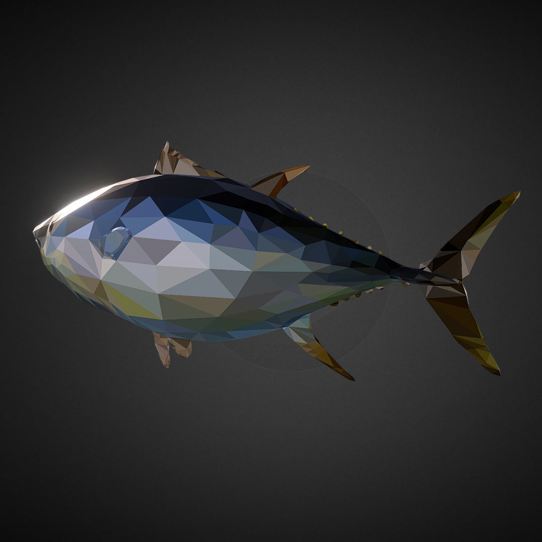 Tuna Low Polygon Art Ocean Fish Low-poly 3D model_5