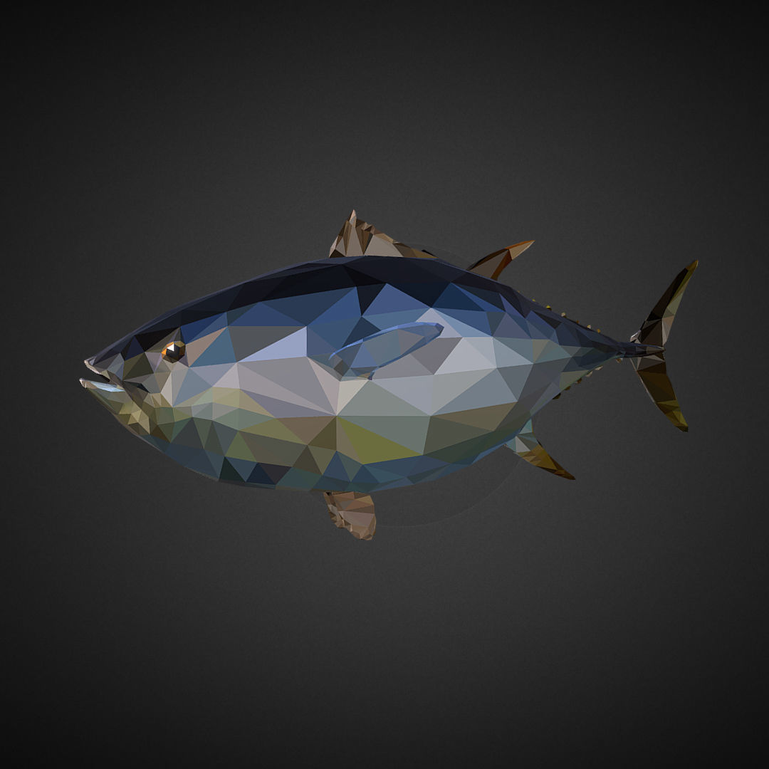 Tuna Low Polygon Art Ocean Fish Low-poly 3D model_4