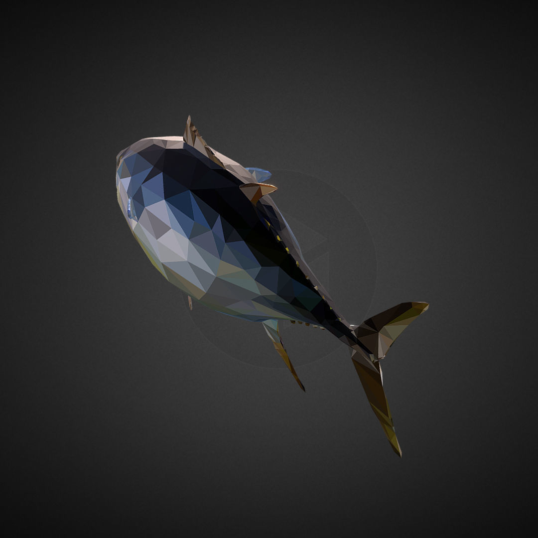 Tuna Low Polygon Art Ocean Fish Low-poly 3D model_6