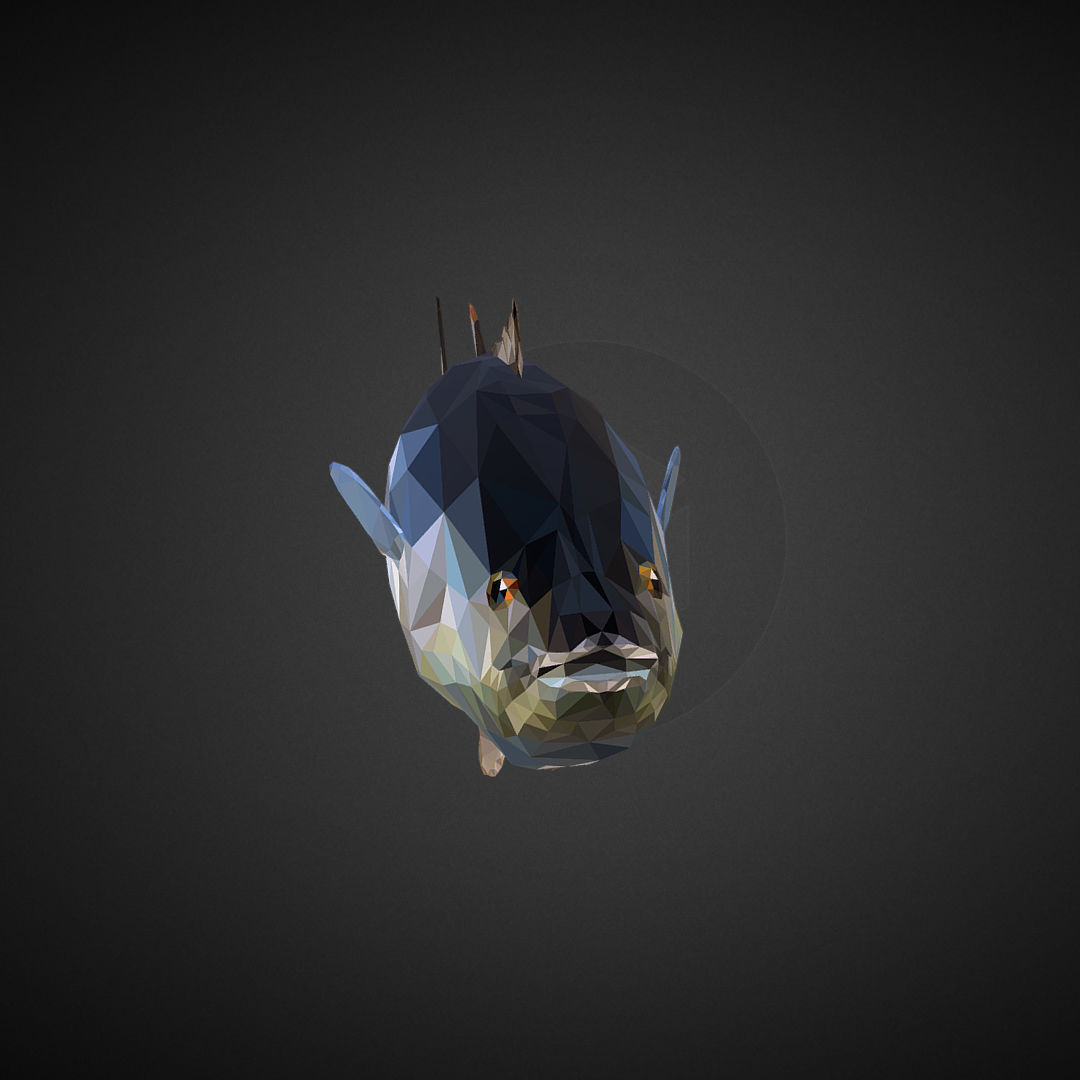 Tuna Low Polygon Art Ocean Fish Low-poly 3D model_1