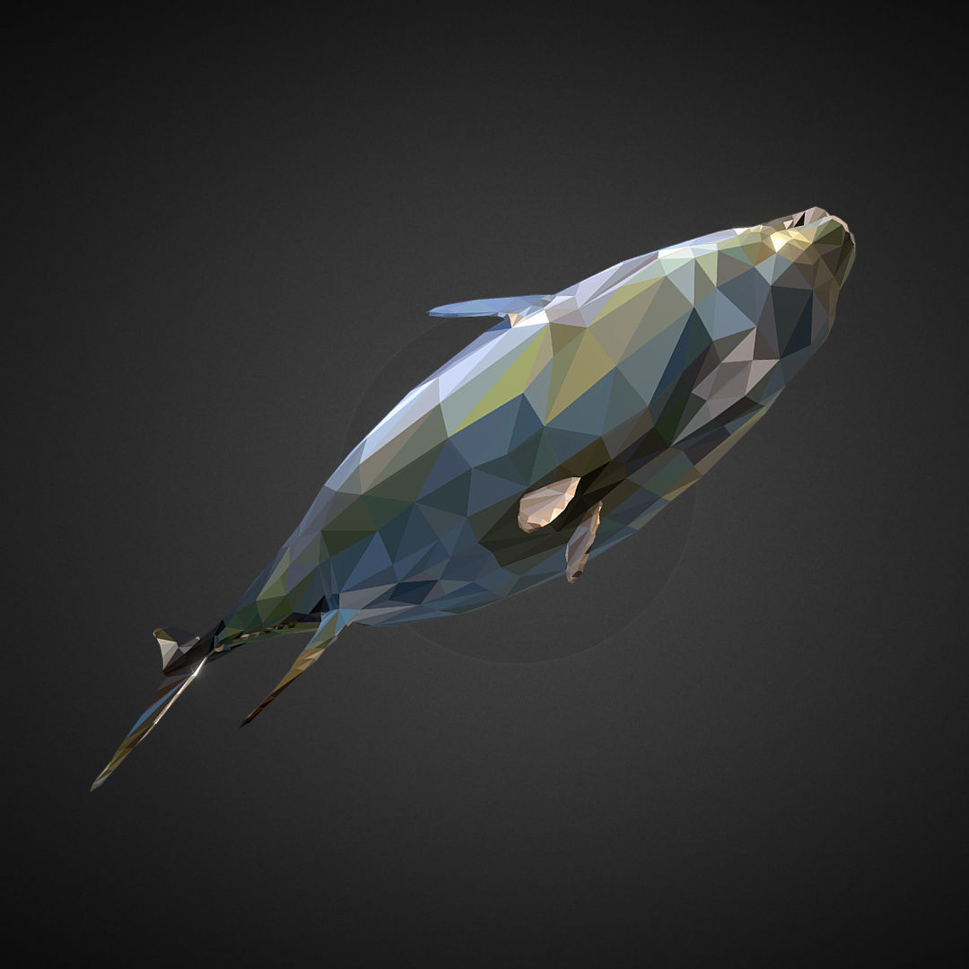 Tuna Low Polygon Art Ocean Fish Low-poly 3D model_9