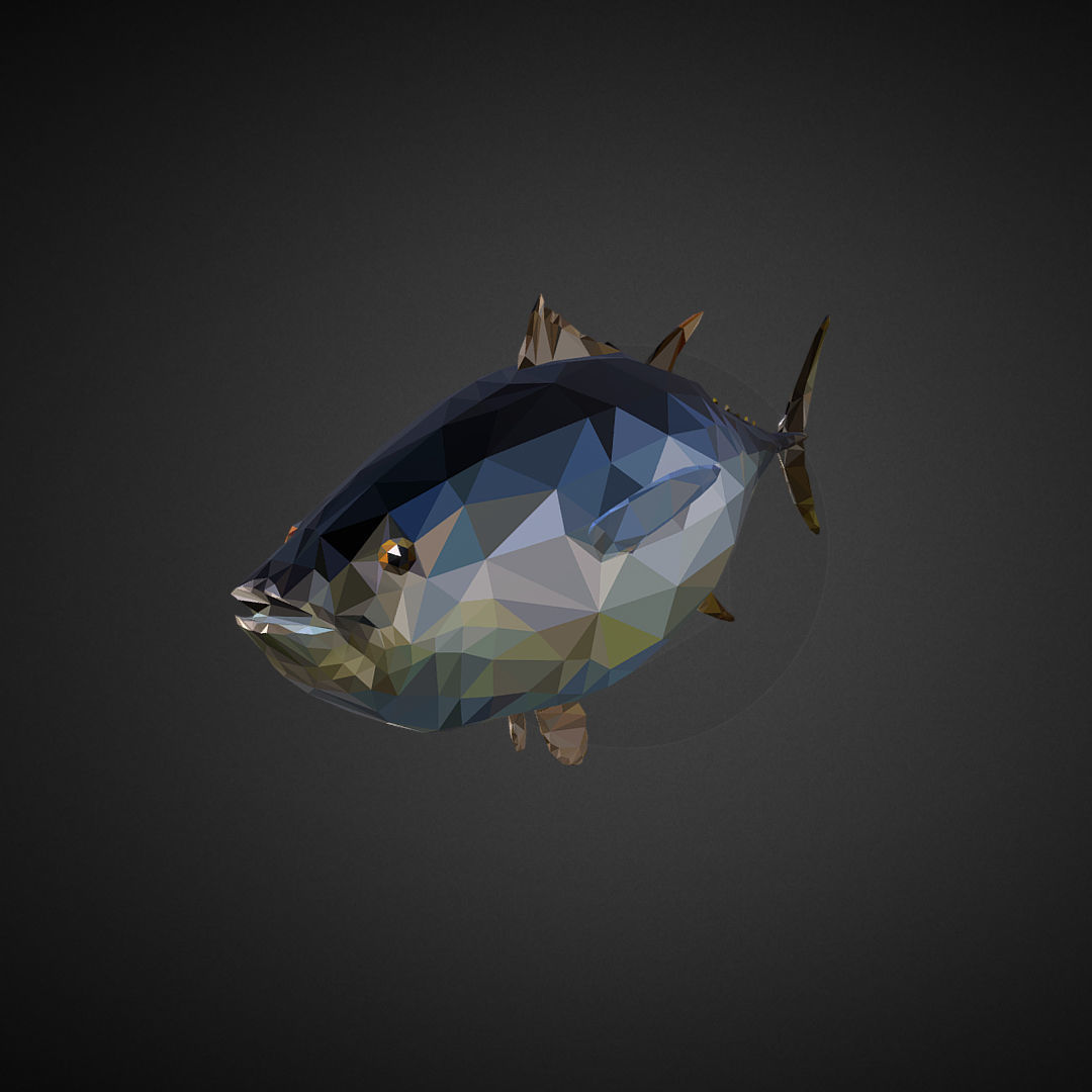 Tuna Low Polygon Art Ocean Fish Low-poly 3D model_3