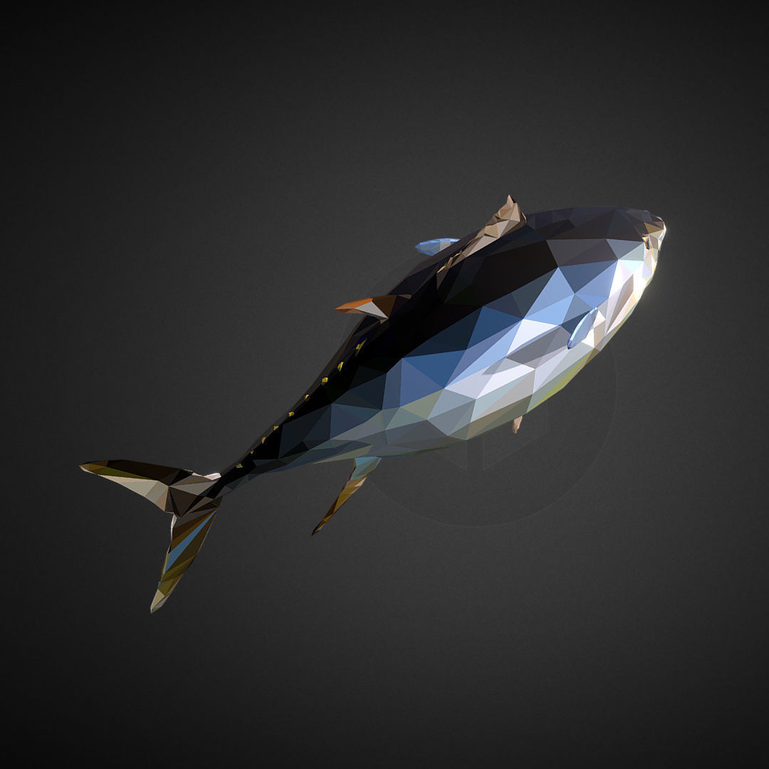 Tuna Low Polygon Art Ocean Fish Low-poly 3D model_8