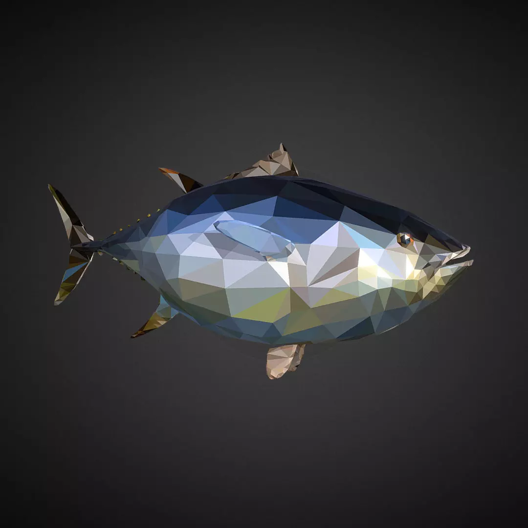 Tuna Low Polygon Art Ocean Fish Low-poly 3D model_0