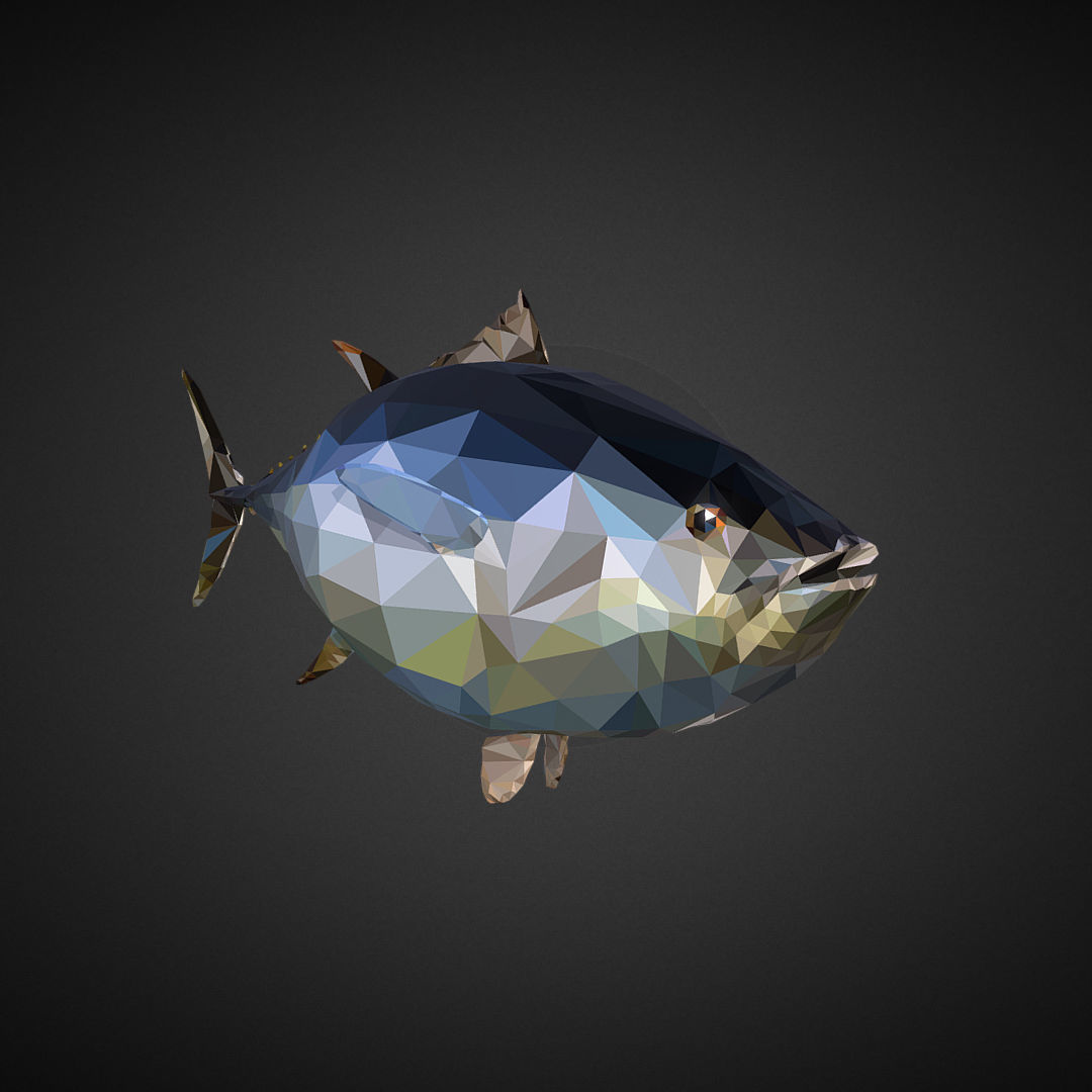 Tuna Low Polygon Art Ocean Fish Low-poly 3D model_2