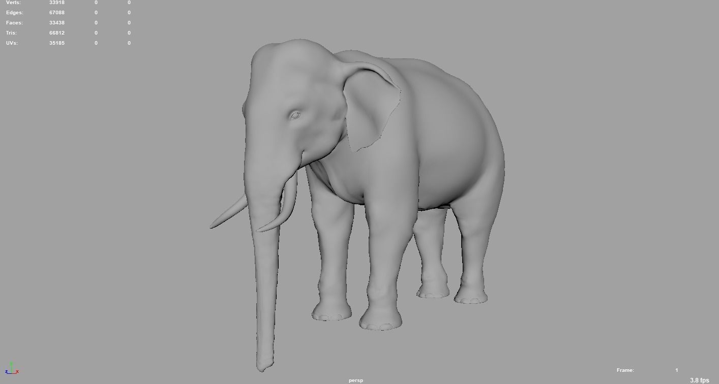 Elephant  Rigged  3D model_10