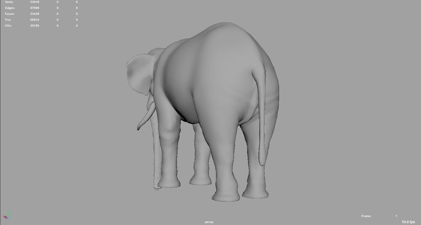 Elephant  Rigged  3D model_8