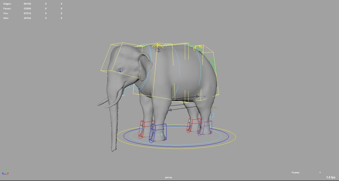 Elephant  Rigged  3D model_5