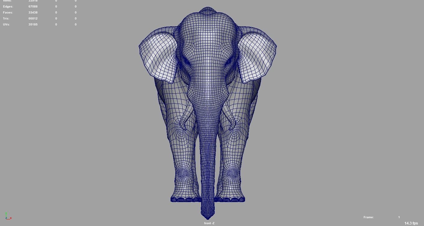 Elephant  Rigged  3D model_6