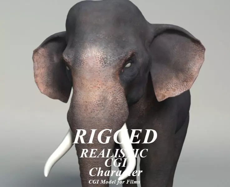 Elephant  Rigged  3D model_0
