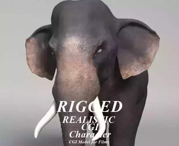 Elephant  Rigged  3D model Elephant  Rigged  3D model